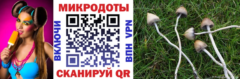 Галлюциногенные грибы прущие грибы  где продают   Петровск-Забайкальский 